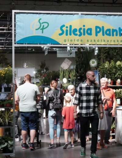 Silesia Plants Stoiska